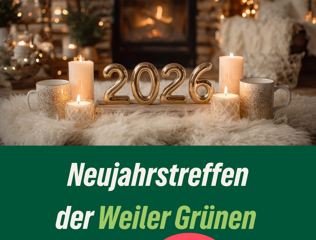 Neujahrstreffen Grüne Weil am Rhein